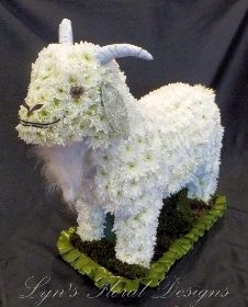 Goat Tribute   3D