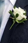 Grooms Buttonhole